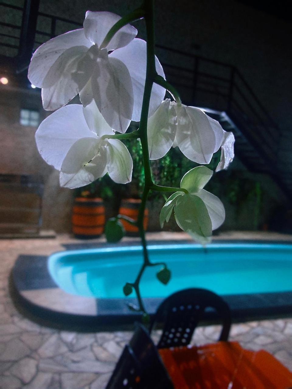Hostel Gravata Piracicaba Exteriör bild